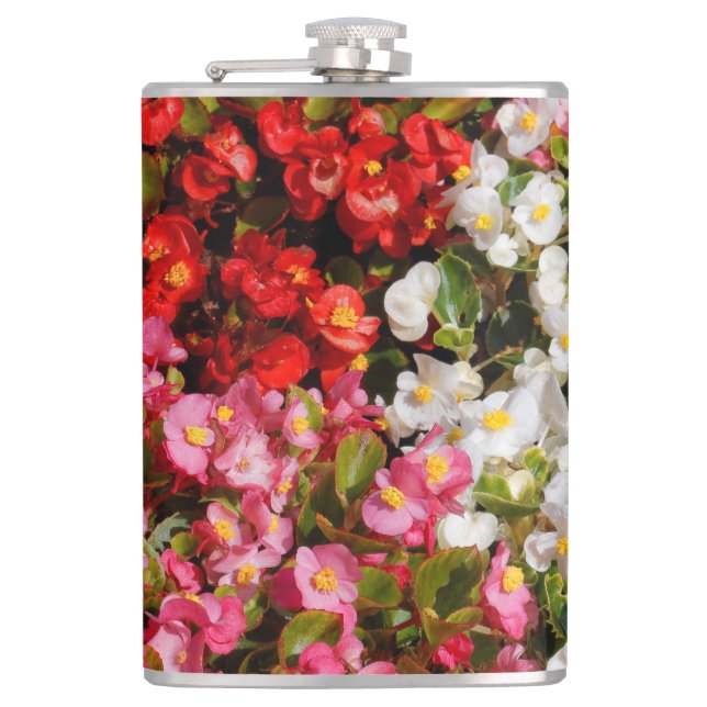 Colourful Wax Begonias Hip Flask (Front)