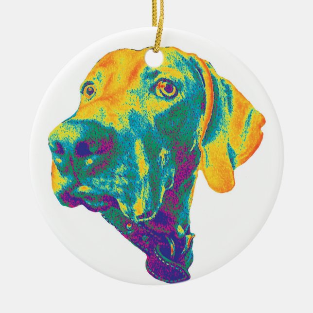 Colourful weimaraner ornament (Front)