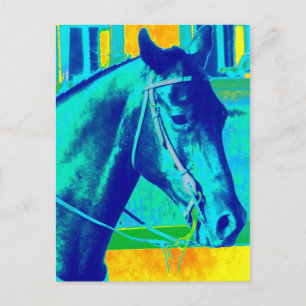 Colourful Western Horse Postcard
