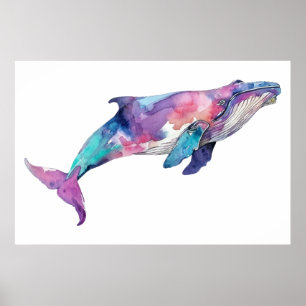 Colourful Whale Illustration Poster