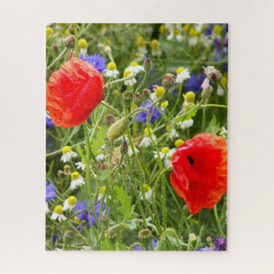 colourful, white, red, poppy, meadow, nature,  jigsaw puzzle