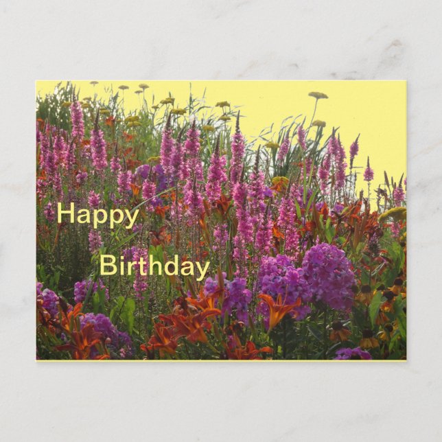 Colourful Wild Flowers Happy Birthday Postcard (Front)