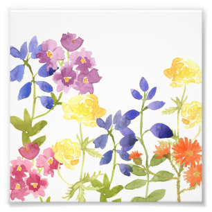 Colourful Wild Flowers Watercolour Photo Print