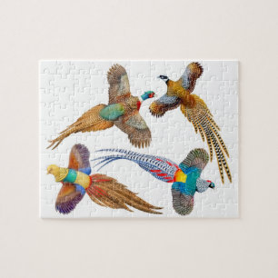 Colourful Wild Pheasants Puzzle