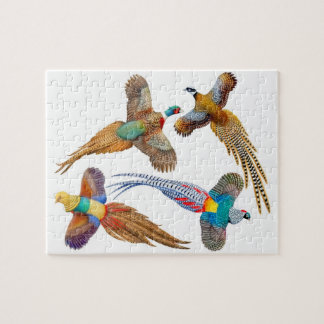 Colourful Wild Pheasants Puzzle