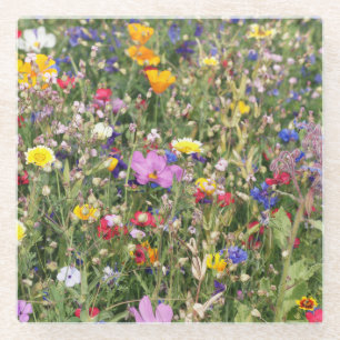Colourful wildflower meadow, vibrant pattern. glass coaster