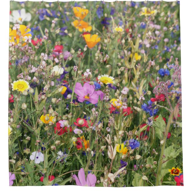 Colourful wildflower meadow, vibrant pattern. shower curtain (Front)