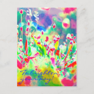 Colourful Wildflower Thinking Of You Flower Postcard