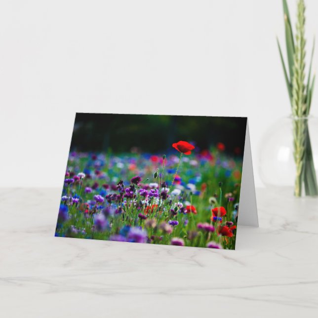 Colourful Wildflowers photo greeting card (Front)