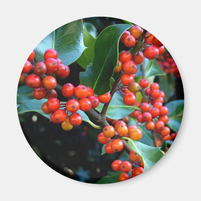 colourful winter gift magnet (Front)