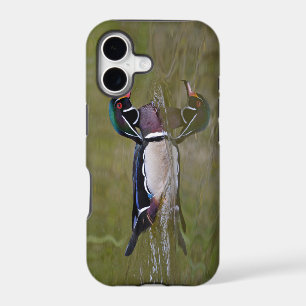 Colourful wood duck