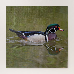 Colourful wood duck jigsaw puzzle