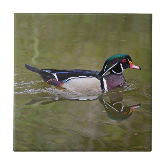 Colourful wood duck tile (Front)