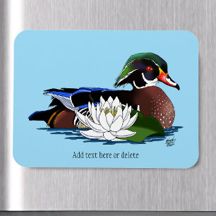 Colourful Wood Duck Water Lily Wildlife Blue Magnet