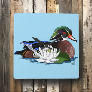 Colourful Wood Duck Water Lily Wildlife Blue Square Wall Clock