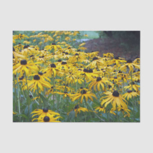 Colourful Yellow Black Eyed Susan Floral Photo Tissue Paper