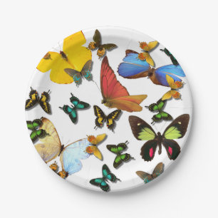 Colourful Yellow Blue Green Butterflies for picnic Paper Plate