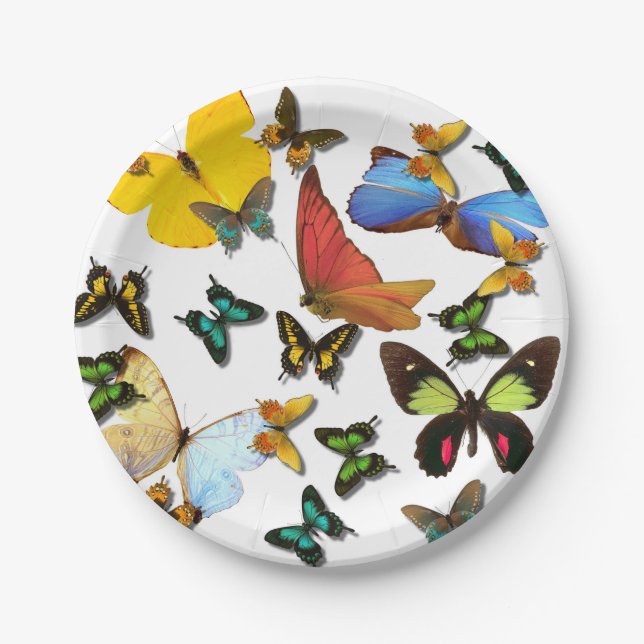 Colourful Yellow Blue Green Butterflies for picnic Paper Plate (Front)