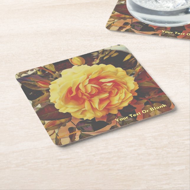 Colourful Yellow Rose Square Paper Coaster (Angled)