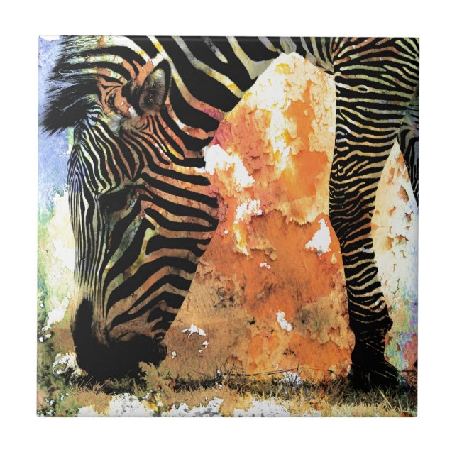 Colourful Zebra Grunge Tile (Front)