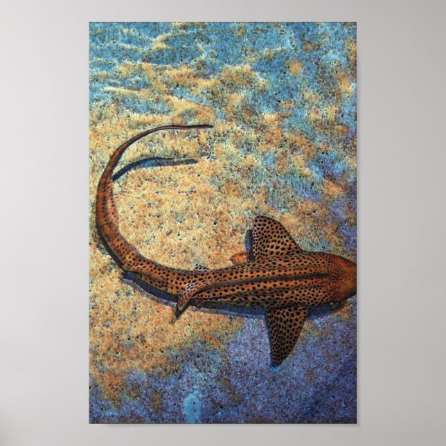 Colourful Zebra Shark Poster (Front)