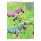 Colourful Zebras