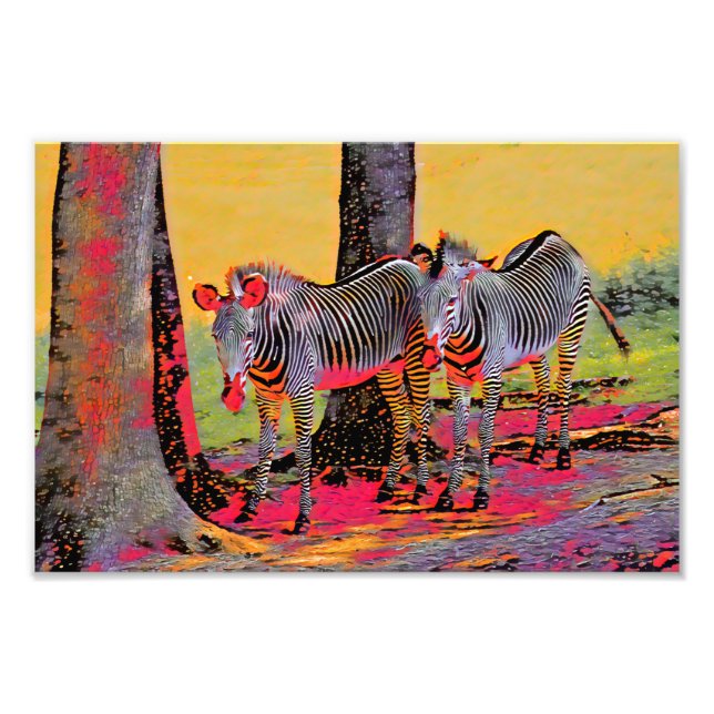 Colourful Zebras  Photo Print (Front)