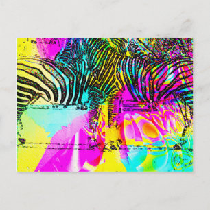 Colourful Zebras Postcard
