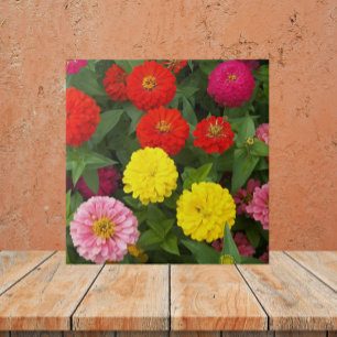 Colourful Zinnia Flowers Floral Tile