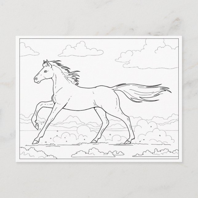 Colouring Horse Gallop Postcard (Front)