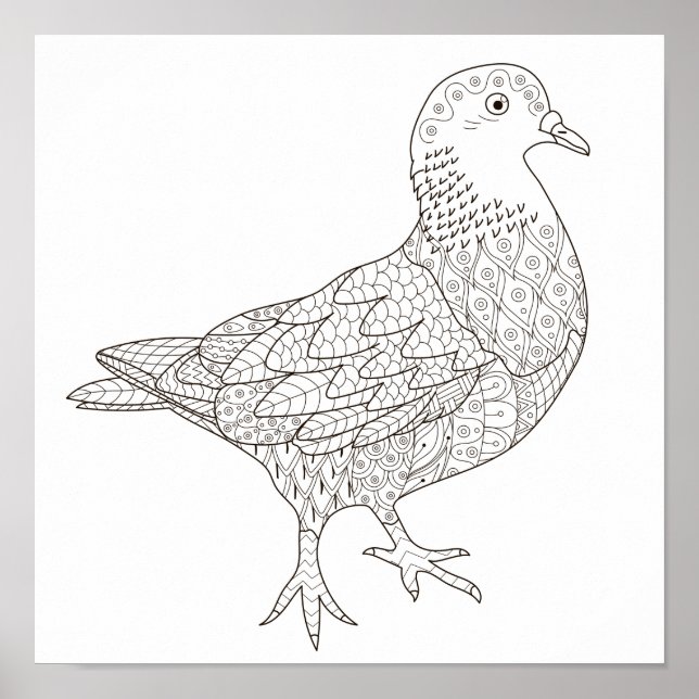 Colouring Page Fancy Pigeon Poster (Front)