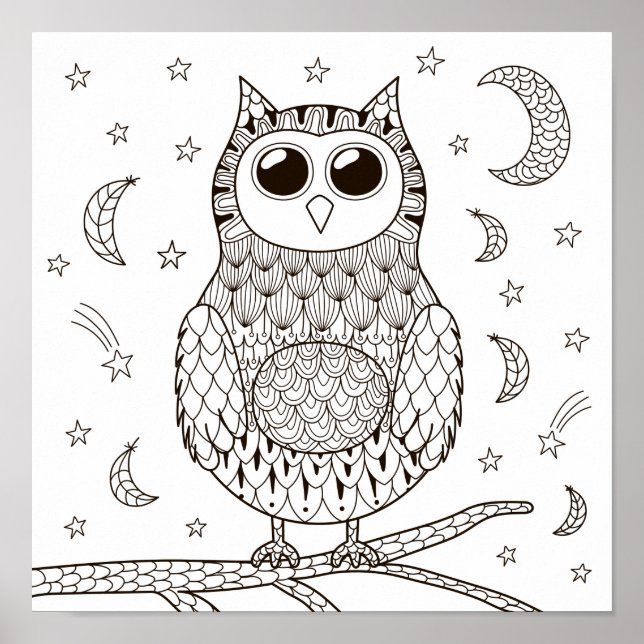 Colouring Page Owl Under the Moon Poster (Front)