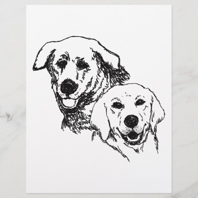 Colouring Page Two Labrador Dogs  (Front)