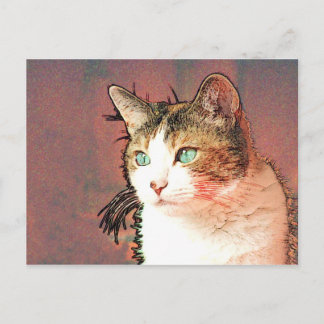 Colourkat Postcard