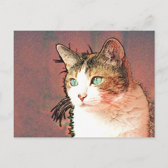 Colourkat Postcard (Front)