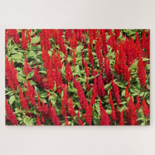 Colours 1 jigsaw puzzle