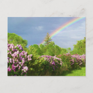 colours in nature card