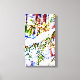 Colours in the Snow Canvas Print