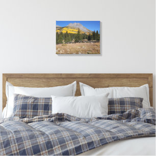 Colours, Mountains and Fences Molas Pass Colorado Canvas Print