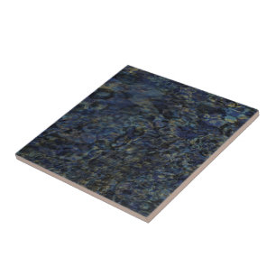 Colours of an Abalone Tile