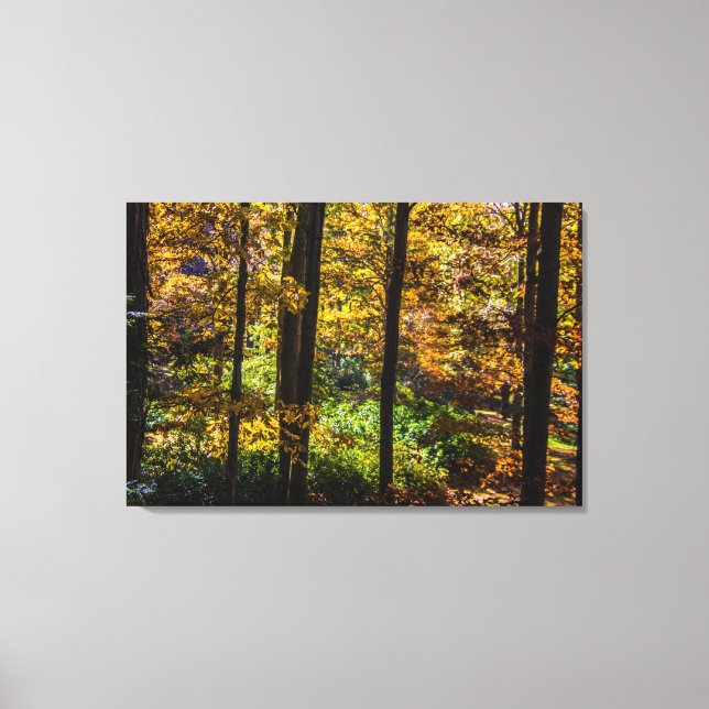 Colours of Autumn Landscape Canvas Print (Front)