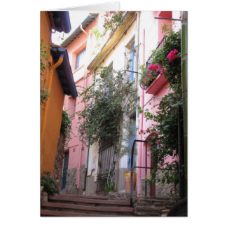 Colours of Collioure