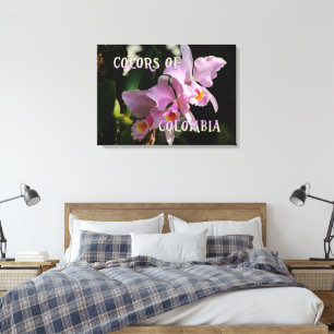 Colours of Colombia Cattleya Orchid Canvas Print