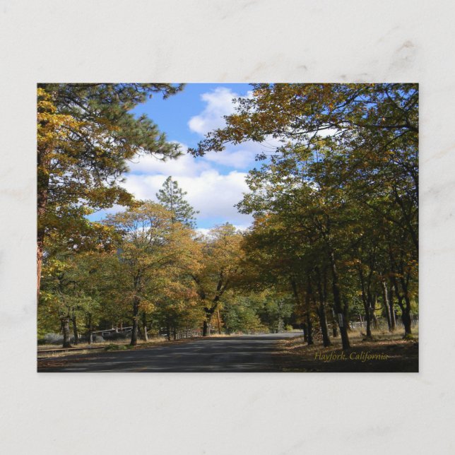 Colours of Fall... Postcard (Front)