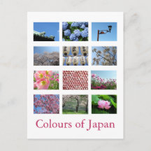 Colours of Japan (blue/white/pink)