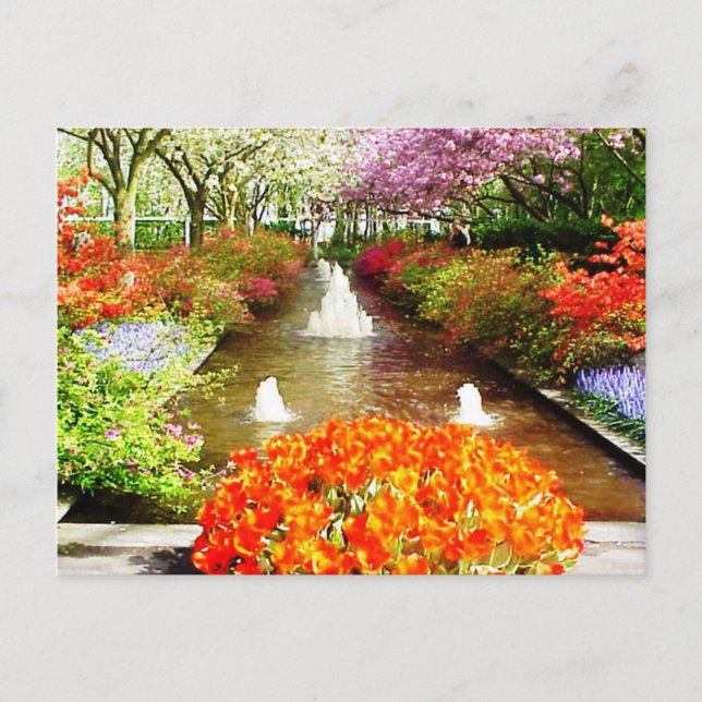 Colours of Life Postcard (Front)