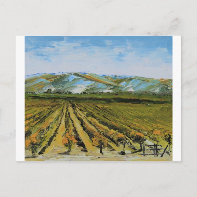 Colours of Napa Valley, Wine Country California Postcard (Front)