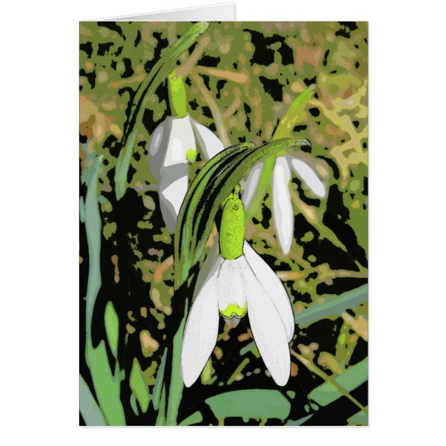 Colours of Spring (Front)