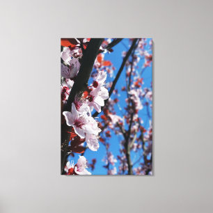 Colours of spring canvas print