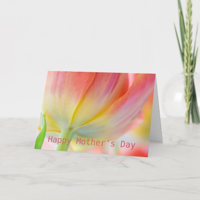 Colours of Spring • Mother's Day Greeting Card (Front)